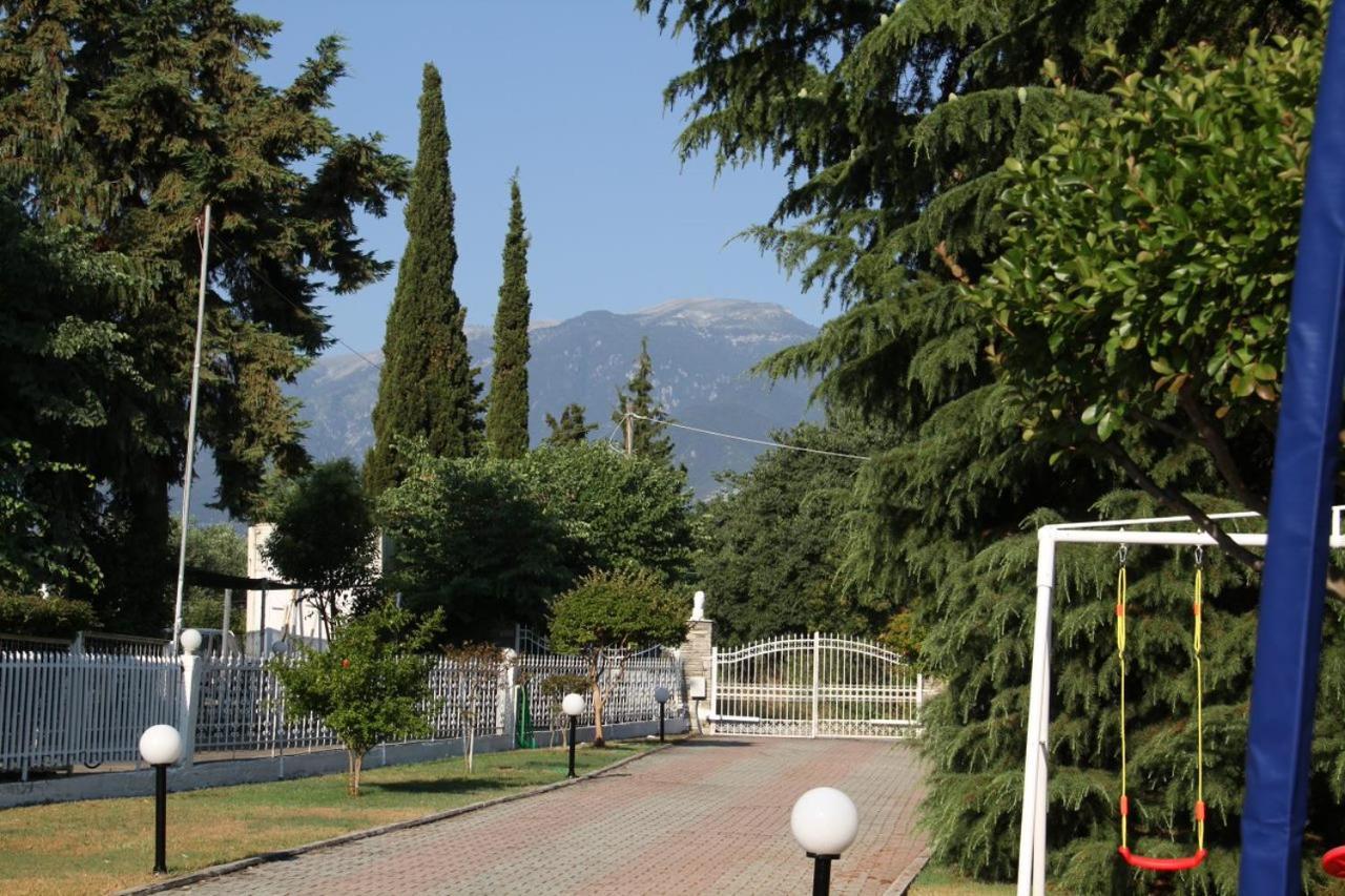 Sunrise Luxury Villa Plaka Litochorou Zewnętrze zdjęcie